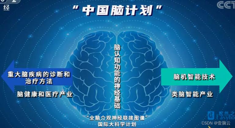 类脑研究与下一代人工智能理论 迈向通用智能的基石